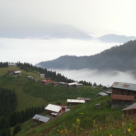 Ayder Hasimoglu Hotel Exteriér fotografie